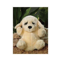 Little Un's Belvedere the Puppy-9