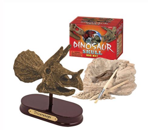 Geocentral Dino Skull Dig Kit