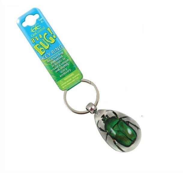 GeoCentral Green Beetle Key chain