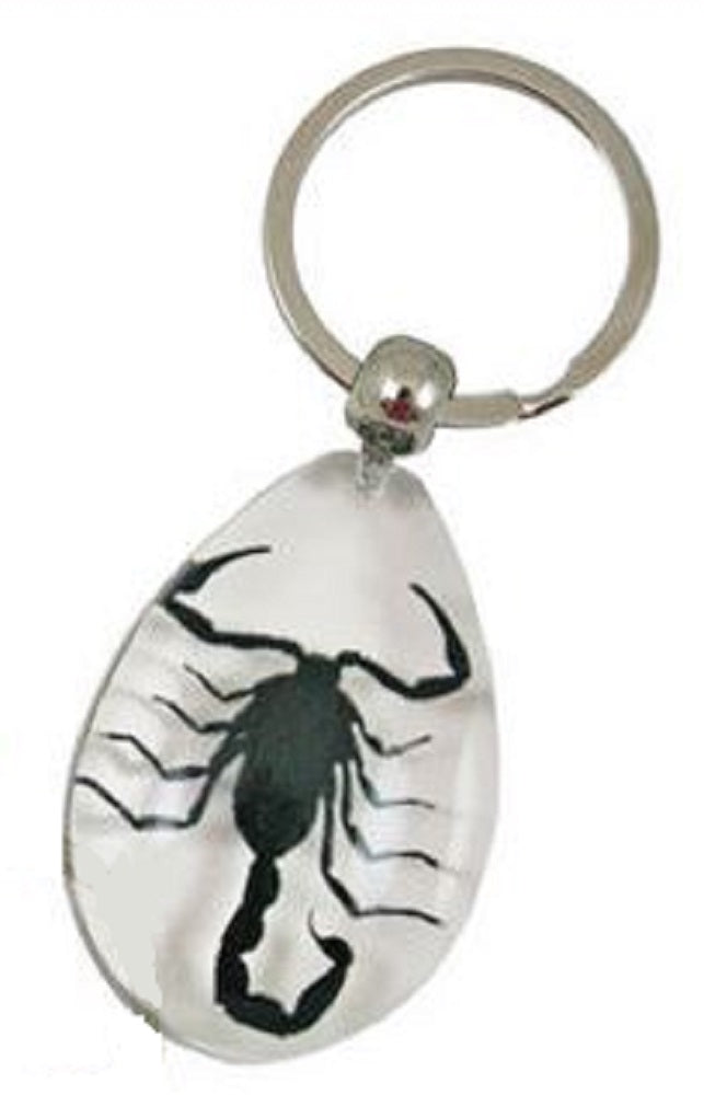 GeoCentral Scorpion Key chain