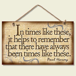 Decorative Wood Sign: In Times Like These