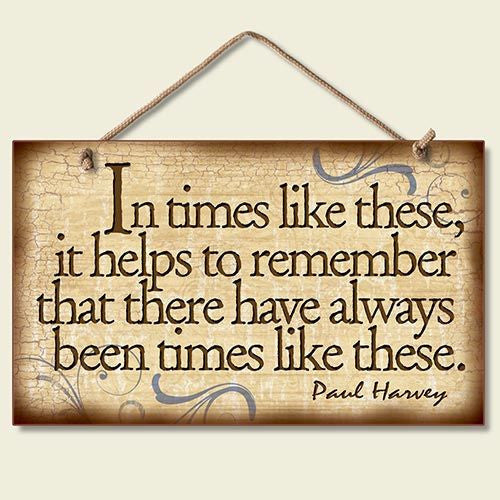Decorative Wood Sign: In Times Like These