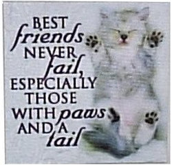 Canvas Magnets- Best Friends