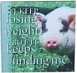 Canvas Magnets- I keep losing weight