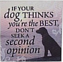 Canvas Magnets- Dogs
