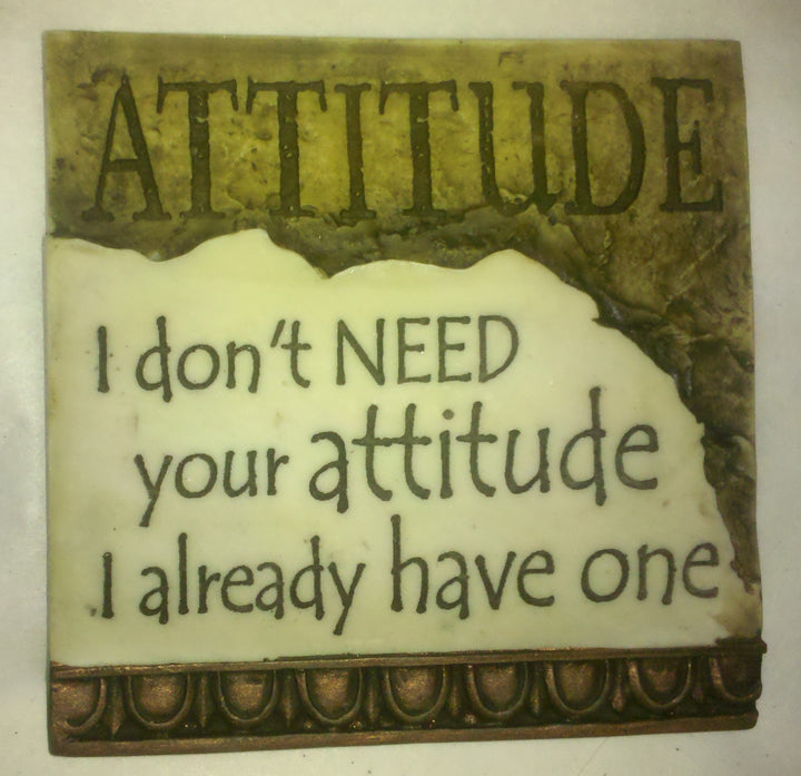 Stone Magnets- I Don't Need Your Attitude I Already Have One