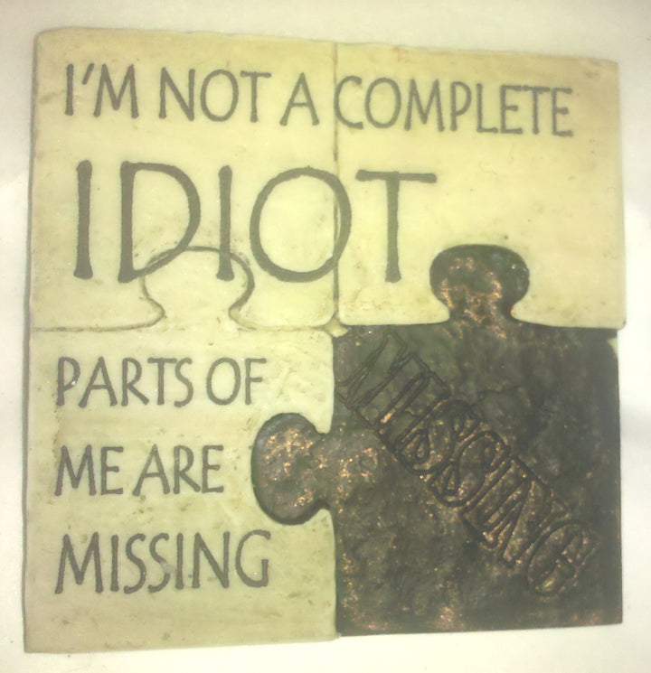 Stone Magnets- I'm Not a Complete Idiot Parts of Me Are Missing