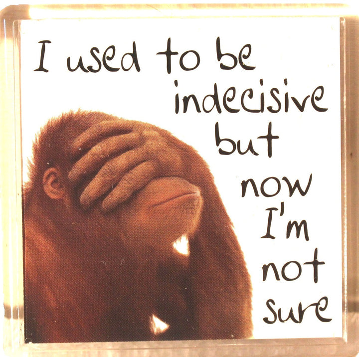 Sentiments Magnets - I Used to Be Indecisive but Now I'm Not Sure