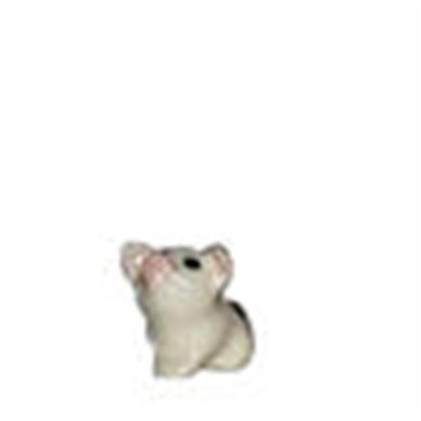 Piglet Sitting