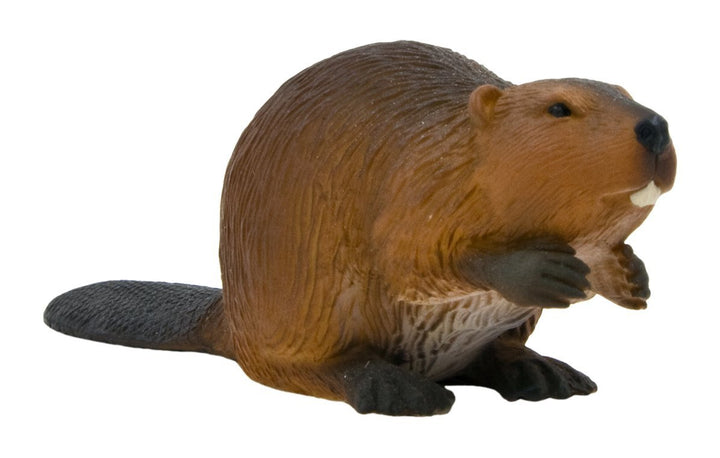 Kidsource Mojo Beaver - Freedom Day Sales