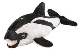 Pacific White Sided Dolphin 14