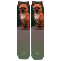 Chihuahua Tan Socks