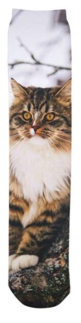 Wild Habitat Maine Coon Cat Sublimation Tube Socks