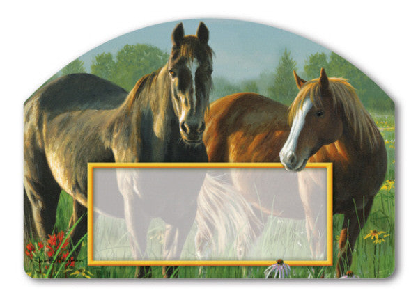 Morning Meadow Yard DeSign