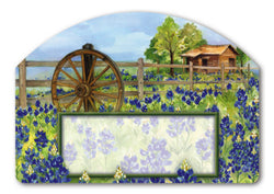 Bluebonnets Yard DeSign