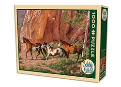 Horse Canyon Puzzle