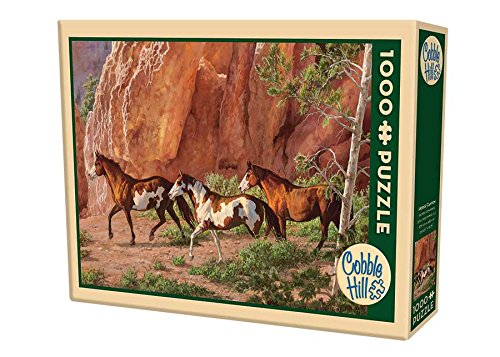 Horse Canyon Puzzle