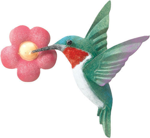 Hummingbird Magnet