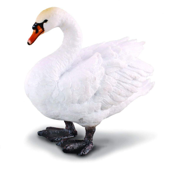 Reeves Collecta Mute Swan