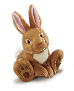 Brody Bunny Large