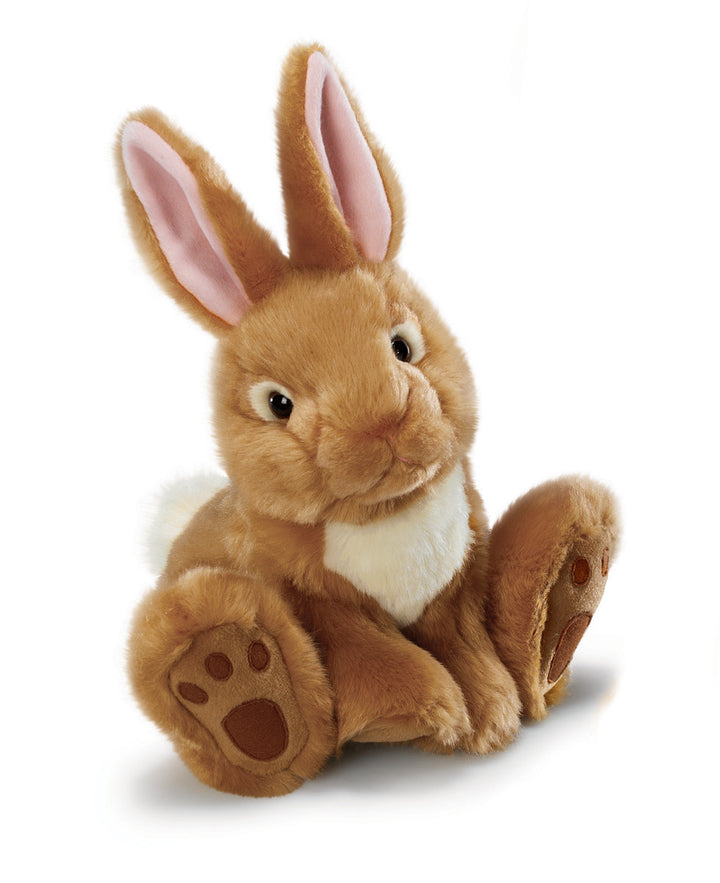 Brody Bunny Large