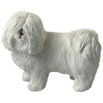 Mid Size - Coton de Tulear