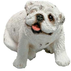 Peeper - Bulldog, White