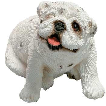 Peeper - Bulldog, White