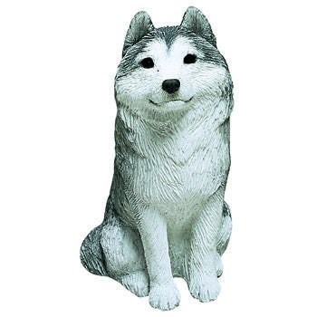 Small Size - Siberian Husky