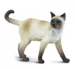 Safari Siamese
