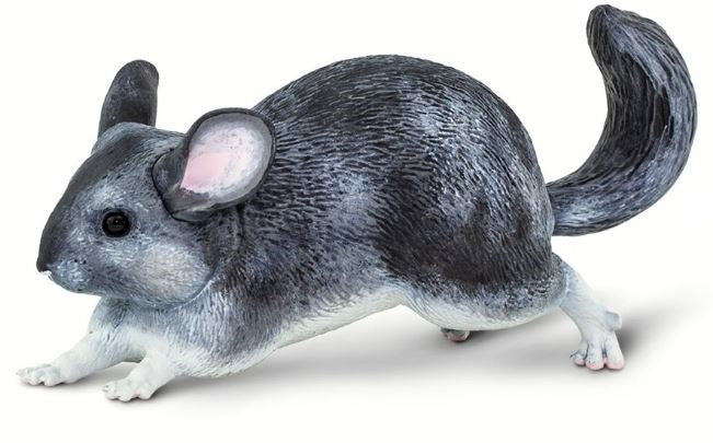 Safari Chinchilla
