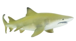 Safari Lemon Shark
