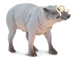 Safari Babirusa