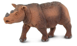 Safari Sumatran Rhino