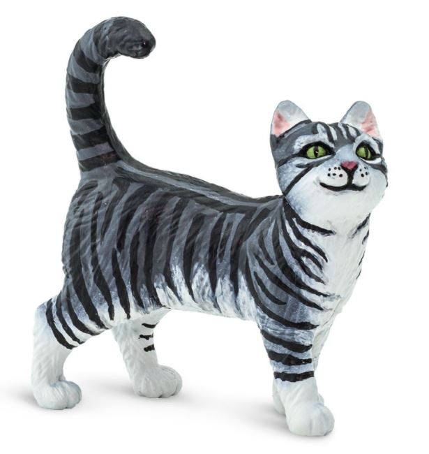 Safari Grey Tabby Cat