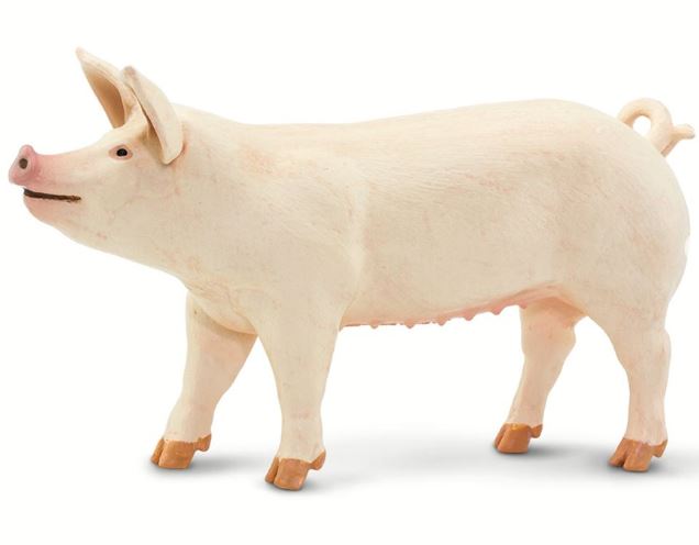 Safari Large White Pig Figure