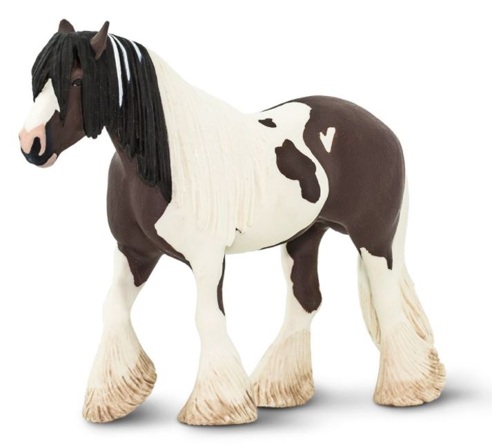 Safari Tinker Horse Stallion Side View