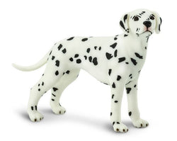 Dalmatian