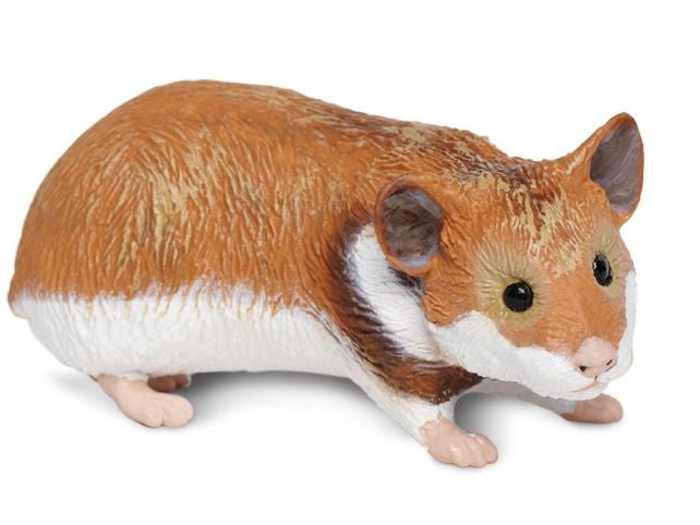 Safari Hamster