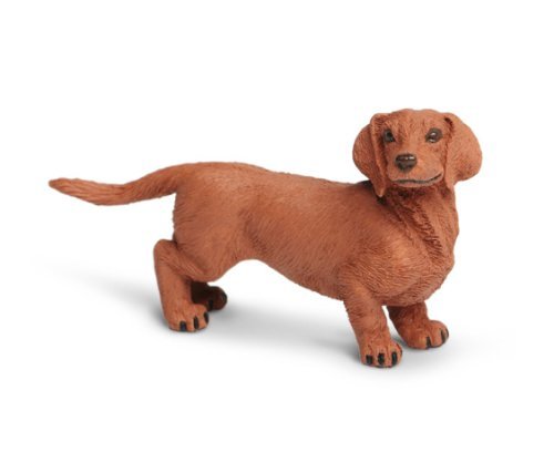 Safari Dachshund