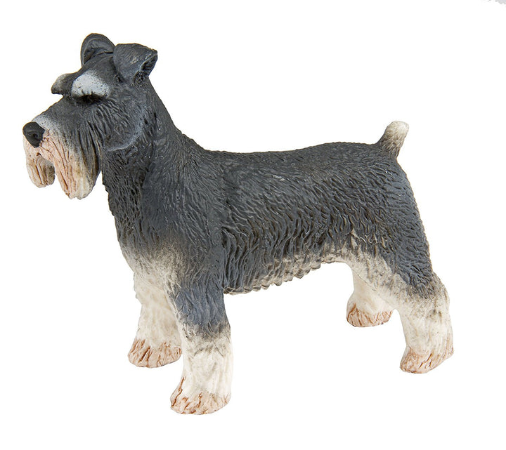 Schnauzer