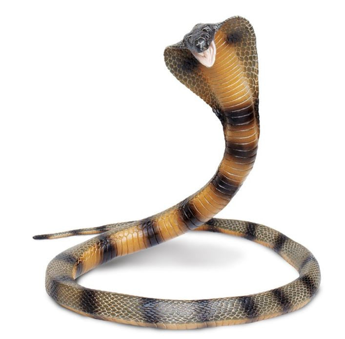 Safari Cobra