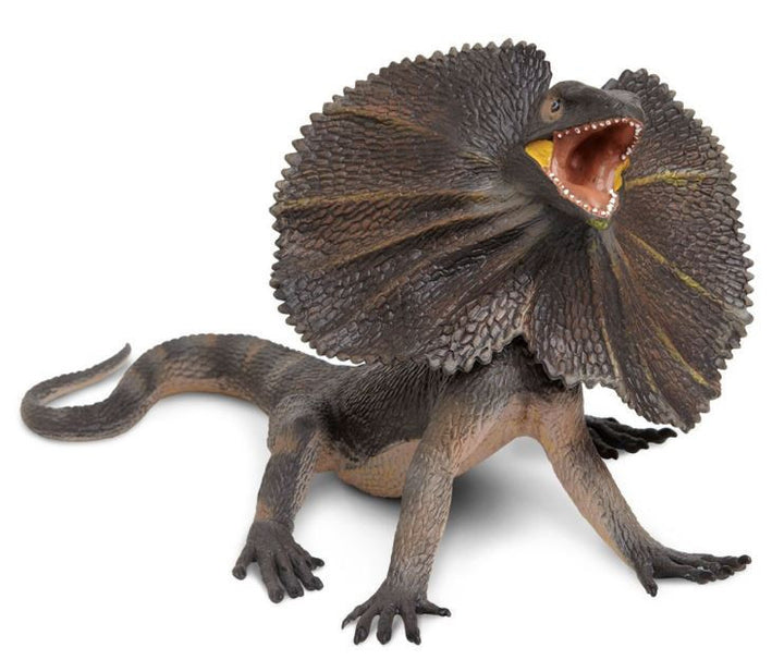 Safari Frilled Lizard