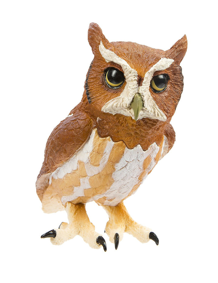 Eastern Screech Owl