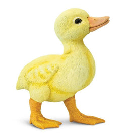 Safari Duckling