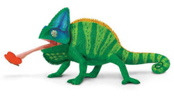 Safari Veiled Chameleon