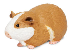 Safari Guinea Pig