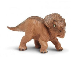 Safari Triceratops Baby