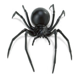Black Widow Spider