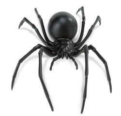 Black Widow Spider